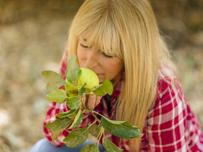 Pensión de viudedad