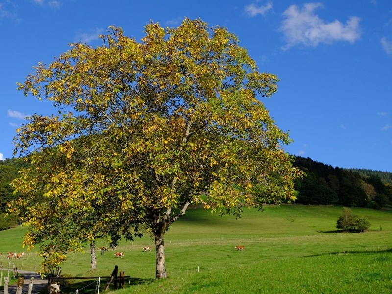 Calendario Octubre 2025